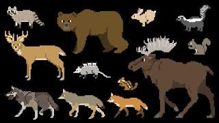 North American Forest Mammals - Forest Animals - The Kids Picture Show Fun & Educational