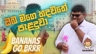 ඔබ මගේ හදවතේ පැළදුවා- Live Cover in Public Bananas Go Brrrr 