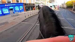 Riding A Friesian Stallion In Dublin City Bumping into Mick The Busker
