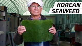 How Seaweed Harvesters Create One of Koreas Most Precious Fine Dining Ingredients — Vendors