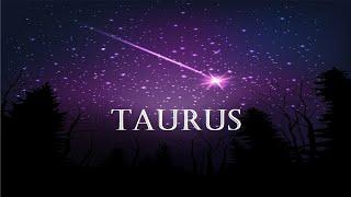 TAURUS They Ran Because it Was Too Intense