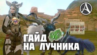 ГАЙД НА ЛУЧНИКОВ В ARCHEAGE. ШМОТ ГРАВЫ СБОРКИ БИЛДЫ  HAWKEYE