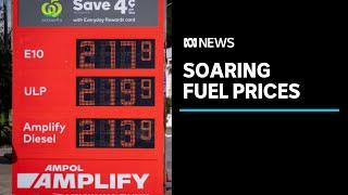 Why is fuel so expensive and when will prices go down again?  ABC News