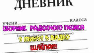 Сборник радостных лиц шлёпы 9 видео 5 мин