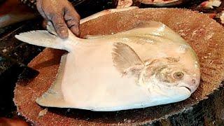 Most Expensive & Delicious Pomfret Fish Cutting Live In Fish Market  Fish Cutting Skills