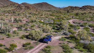 Surprises in the Sonoran Desert - Solo Overlanding in my Gladiator