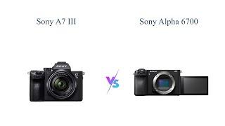 Sony a7 III vs Sony Alpha 6700  Full-frame vs APS-C Comparison