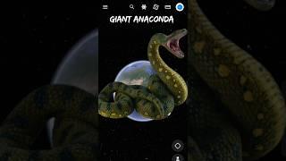 Massive Anaconda in Real found on google earth #shorts #anaconda