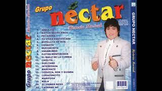 Grupo Nectar Historia Musical Alta Calidad de Audio WAV