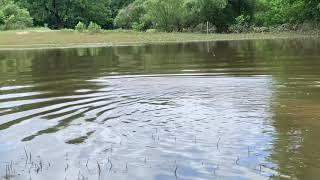 TRX4 Traxxas Tracks Under water