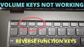 Volume Button Not Working - Reverse Function Keys and Multimedia Keys F1-F12