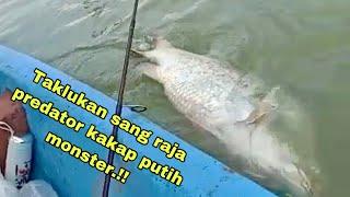 Taklukan Raksasa Kakap Putih Bikin Heboh Pemancing. Mancing Kakap Putih-Barramundi