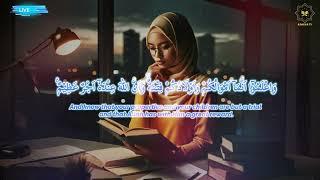 3+ HOUR  HEART TOUCHING VOICE  LOFI QURAN VERY CALM  Worlds Most Beautiful Recitation Adhkar TV