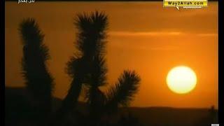  صحراء موجافي الحارقة 105 درجة   المجد الطبيعية
