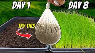 The FASTEST Way to Grow Grass Seed Pregermination Secrets REVEALED