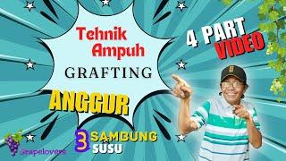 Tehnik Ampuh Grafting PART 3