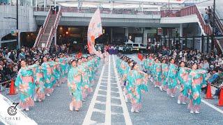 【8K】茜丸 × 明星『朝光』（町田夢舞生ッスイ祭 2023）