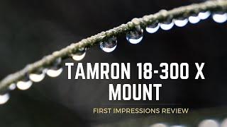 The Tamron 18-300mm F3.5-6.3 for FujiFilm First Impressions review. The best budget all-round lens?