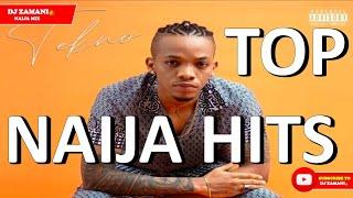 Top Naija Hits  Music Mix by Dj Zamani Vol 3#Davido#BurnaBoy#Wizkid#TiwaSavage#tekno