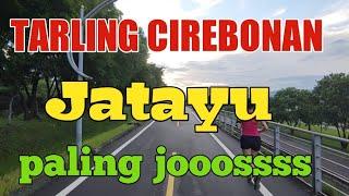 menikmati keindahan pagi ditemani tarling jatayu