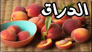 اذا كنت تتناول فاكهة الدراق كل يوم شاهد ماذا يحدث لجسمك   فوائد الدراق الصحية والامراض التى يعالجها