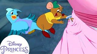 Gus Makes a Dress for Cinderella  Disney Princess