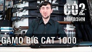 Gamo Big Cat 1000 установка газовой пружины замена манжеты стрельба через хрон