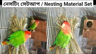 How To Set Love Birds Nesting Material