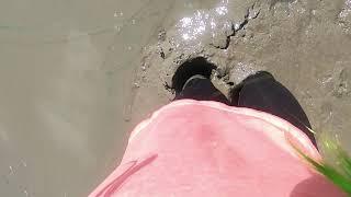 Leggings and Leopard Print Wedges Stuck Deep in Tidal Mud