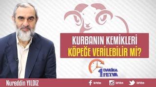 Kurbanın kemikleri köpeğe verilebilir mi? Birfetva - Nureddin YILDIZ