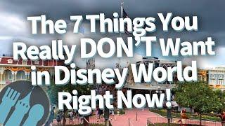 The 7 Things You Really DONT Want in Disney World Right Now