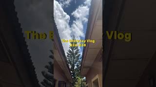 The Everyday Vlog 226-228