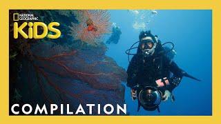 The BEST Jobs Ever  Nat Geo Explorers  25 Minute Compilation  @natgeokids