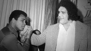 New Andre the Giant HBO documentary trailer