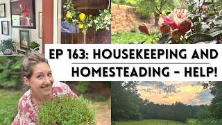 Ep 163 Housekeeping & Homesteading ... Send Help  Balancing A Busy WeekLifeStarting a Homestead