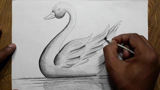 Easy way to draw Swan step by step for beginners