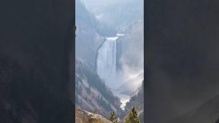 Yellowstone Waterfalls #nature #waterfall #Yellowstone #wilderness #relaxing #shorts #youtubeshorts