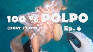 Pescasub COME PESCARE I POLPI NEI PRIMI 5 m - 100% POLPO Ep. 6