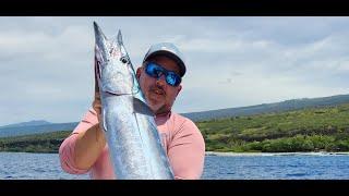 Slow Trolling Live Bait for Wahoo with Shawn Rotella - Part 1  In The Spread Fishing Videos