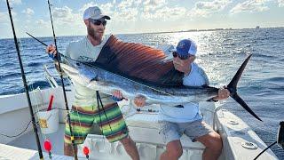 Offshore Fishing in Belize  Spring 2024 Sailfish Run