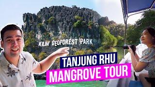 Mangrove Tour Langkawi at Tanjung Rhu  Kilim Geoforest Park  Things to do in Langkawi