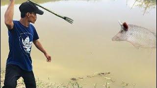 Quick Primitive Spearfishing - Creative Man Make Bamboo Spear Catch A Lot Of Fish Work 100%