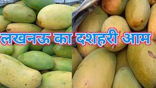 आम के भाव के ताजा समाचार अलवर मंडी राजस्थान दशहरी आम भाव आजtoday mango Price Alwar 