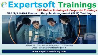 SAP S4HANA Product Lifecycle Management PLM Training  SAP S4HANA PLM Corporate Training