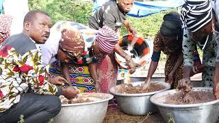 Développement de la chaîne de valeur beurre de karité bio Parc National du Moyen-Bafing Guinée