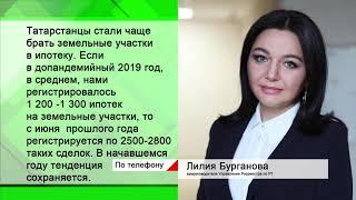 Экономика Рекордный спрос на землю. Почему могут подорожать сладости? Есть ли дефицит авто?