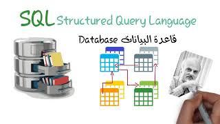SQL Structured Query Language لغة