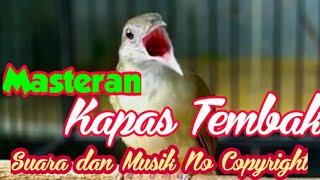 Masteran Kapas Tembak baground dan musik no copyright