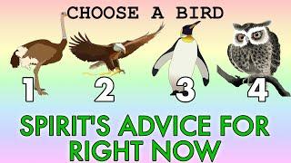  SPIRITS ADVICE FOR RIGHT NOW  YOUR SITUATION  Timeless #pickacard #tarotreading #oraclereading