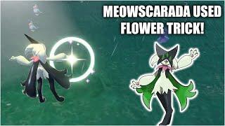 Meowscarada used Flower Trick